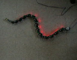 robotic snake